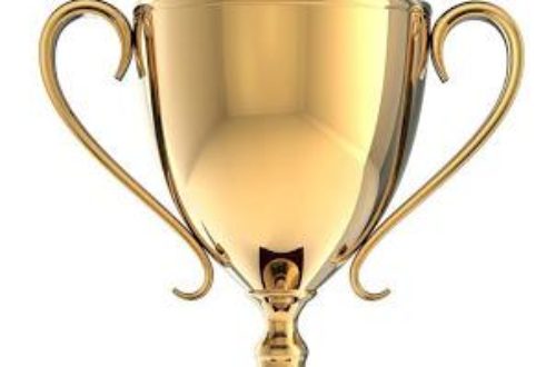 Article : Liebster Award : le prix du blog le plus aimé
